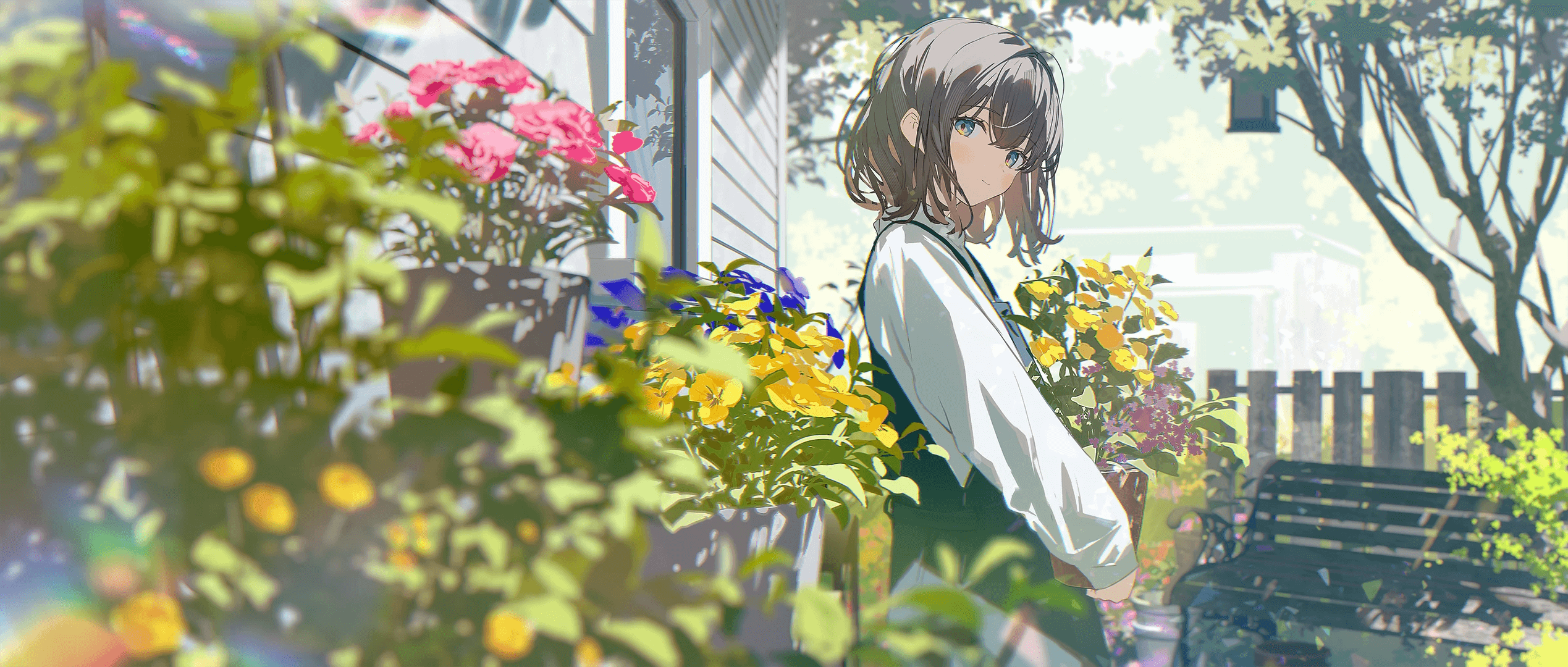 Desktop banner image 1